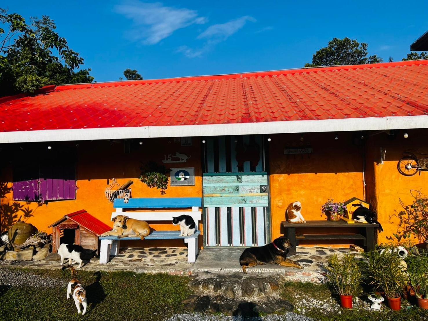 Cat Sky Country Homestay Szanhszing Kültér fotó