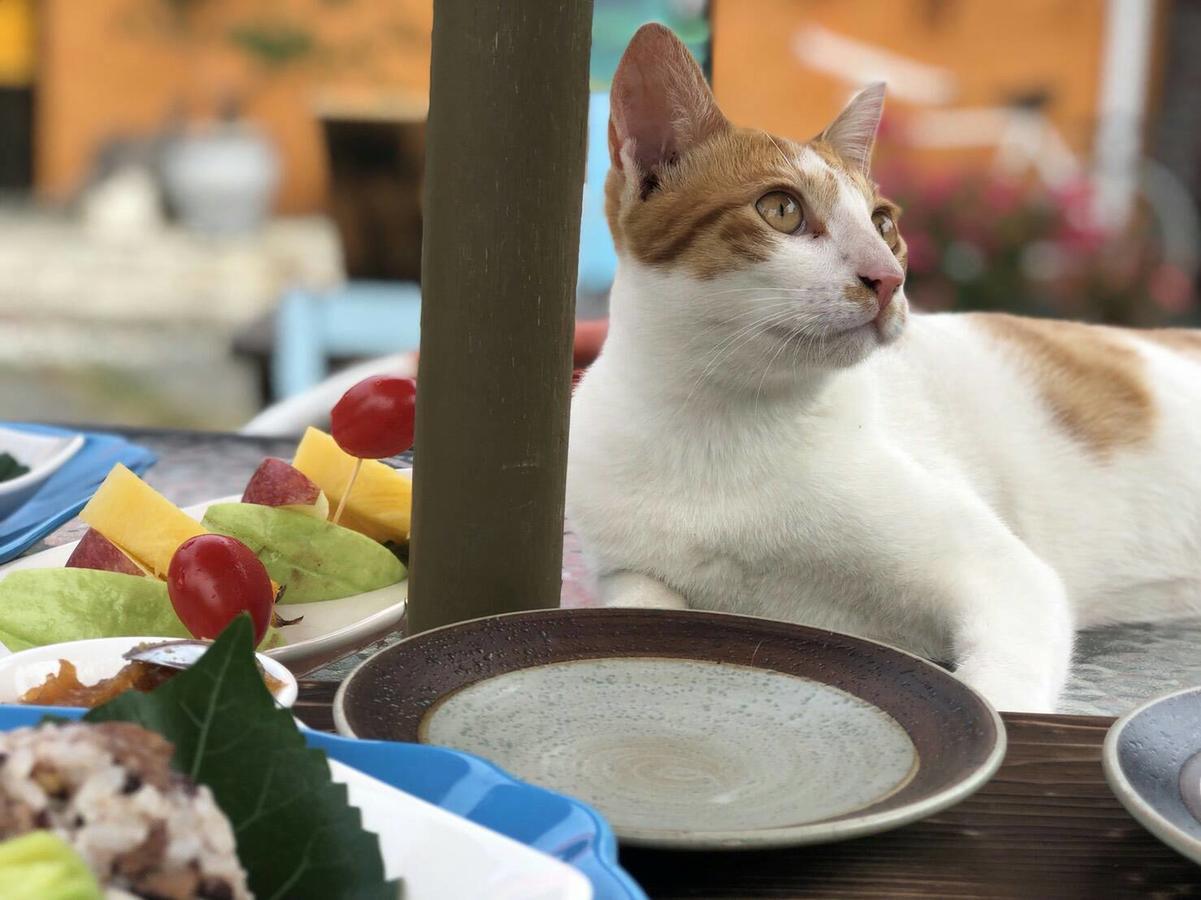 Cat Sky Country Homestay Szanhszing Kültér fotó